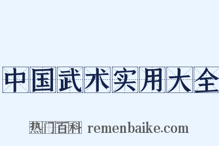 中国武术实用大全是什么意思的图片